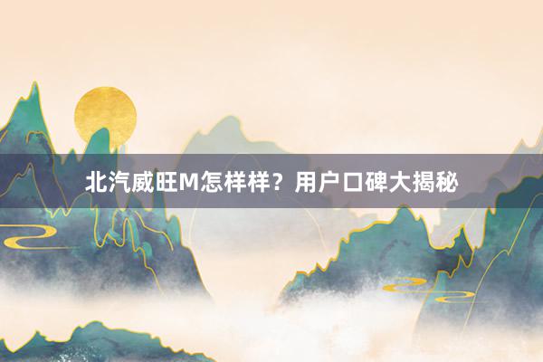 北汽威旺M怎样样？用户口碑大揭秘