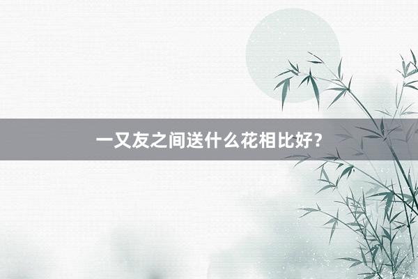 一又友之间送什么花相比好？
